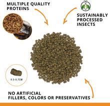 Load image into Gallery viewer, Bug Bites - Goldfish Formula Pellets