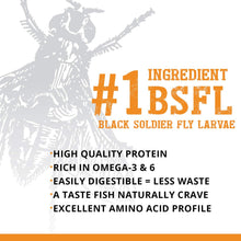 Load image into Gallery viewer, Bug Bites - Goldfish Formula Pellets