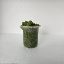 Load image into Gallery viewer, Duckweed