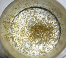 Load image into Gallery viewer, Daphnia