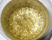 Load image into Gallery viewer, Daphnia