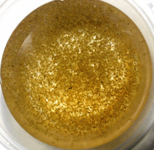 Load image into Gallery viewer, Daphnia