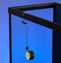 Load image into Gallery viewer, Pleco Feeder