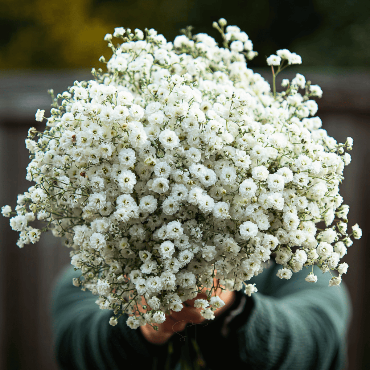 the-pearl-yarrow-100-seeds-