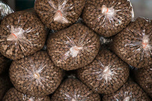 Load image into Gallery viewer, Fish Food