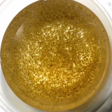 Daphnia Care