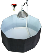 Load image into Gallery viewer, Deluxe Chick Brooder Kit With Corral, Lamp Stand, Lamp, &amp; Bulb