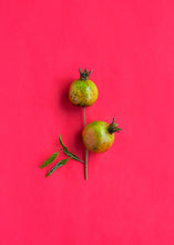 Load image into Gallery viewer, Pomegranate, Vietnamese Pink