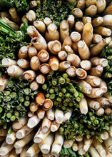Load image into Gallery viewer, Lemongrass