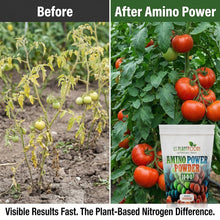 Load image into Gallery viewer, Amino Power Powder Nitrogen Fertilizer