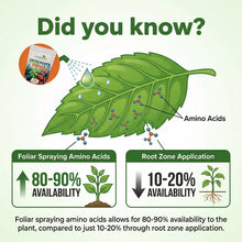 Load image into Gallery viewer, Amino Power Powder Nitrogen Fertilizer
