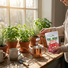 Load image into Gallery viewer, Cal-Mag Extreme – Advanced Calcium &amp; Magnesium for Plants
