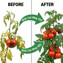 Load image into Gallery viewer, Cal-Mag Extreme – Advanced Calcium &amp; Magnesium for Plants