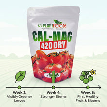 Load image into Gallery viewer, Cal-Mag Extreme – Advanced Calcium &amp; Magnesium for Plants
