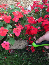 Load image into Gallery viewer, Stainless Steel Garden Scoop Trowel