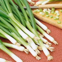 Load image into Gallery viewer, Onion, Evergreen Bunching - Organic