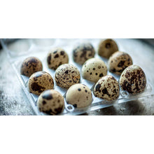 Load image into Gallery viewer, 12-Egg Carton (Quail) - Clear Plastic