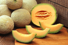 Load image into Gallery viewer, Cantaloupe, Iroquois