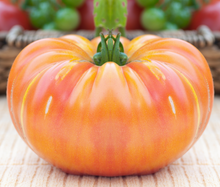 Load image into Gallery viewer, Tomato, Oaxacan Jewel