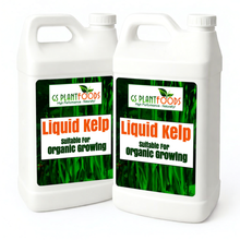 Load image into Gallery viewer, Organic Liquid Kelp Seaweed