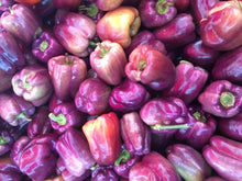 Load image into Gallery viewer, Pepper, Lilac Bell