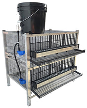 Load image into Gallery viewer, Pro Modular Quail Grow Out &amp; Layer Cages