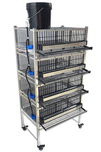 Load image into Gallery viewer, Pro Modular Quail Grow Out &amp; Layer Cages