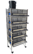 Load image into Gallery viewer, Pro Modular Quail Grow Out &amp; Layer Cages