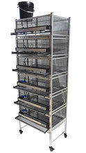 Load image into Gallery viewer, Pro Modular Quail Grow Out &amp; Layer Cages