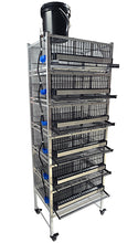 Load image into Gallery viewer, Pro Modular Quail Grow Out &amp; Layer Cages