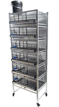 Load image into Gallery viewer, Pro Modular Quail Grow Out &amp; Layer Cages
