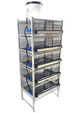 Load image into Gallery viewer, Pro Modular Quail Grow Out &amp; Layer Cages