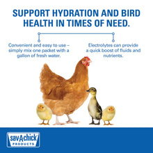 Load image into Gallery viewer, Sav-A-Chick Poultry Vitamins &amp; Electrolytes