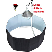 Load image into Gallery viewer, Deluxe Chick Brooder Kit With Corral, Lamp Stand, Lamp, &amp; Bulb