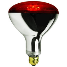 Load image into Gallery viewer, Deluxe Chick Brooder Kit With Corral, Lamp Stand, Lamp, &amp; Bulb