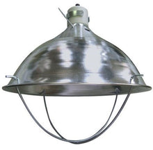 Load image into Gallery viewer, Deluxe Chick Brooder Kit With Corral, Lamp Stand, Lamp, &amp; Bulb