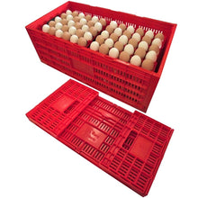 Load image into Gallery viewer, Chicken Egg Transport Crate