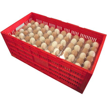 Load image into Gallery viewer, Chicken Egg Transport Crate