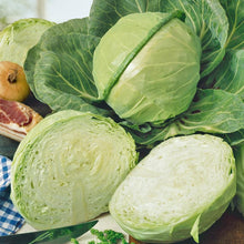 Load image into Gallery viewer, Cabbage, Golden Acre - Organic