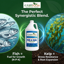 Load image into Gallery viewer, Fish &amp; Kelp Liquid Blend - Organic