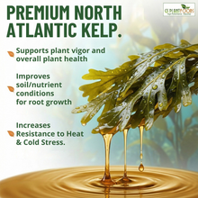 Load image into Gallery viewer, Organic Liquid Kelp Seaweed