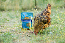 Load image into Gallery viewer, Herb Supplement For Backyard Chickens
