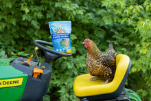 Load image into Gallery viewer, Herb Supplement For Backyard Chickens