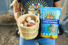 Load image into Gallery viewer, Herb Supplement For Backyard Chickens