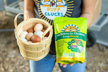 Load image into Gallery viewer, CoopShield—Herbal Pest Defense for Chickens