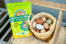 Load image into Gallery viewer, CoopShield—Herbal Pest Defense for Chickens