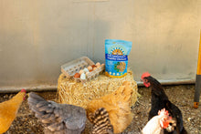 Load image into Gallery viewer, Herb Supplement For Backyard Chickens