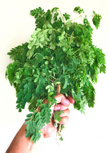 Load image into Gallery viewer, Moringa
