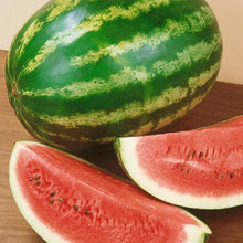 Load image into Gallery viewer, Watermelon, Crimson Sweet - Organic
