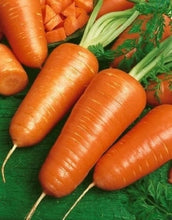 Load image into Gallery viewer, Carrots, Chantenay Red Core